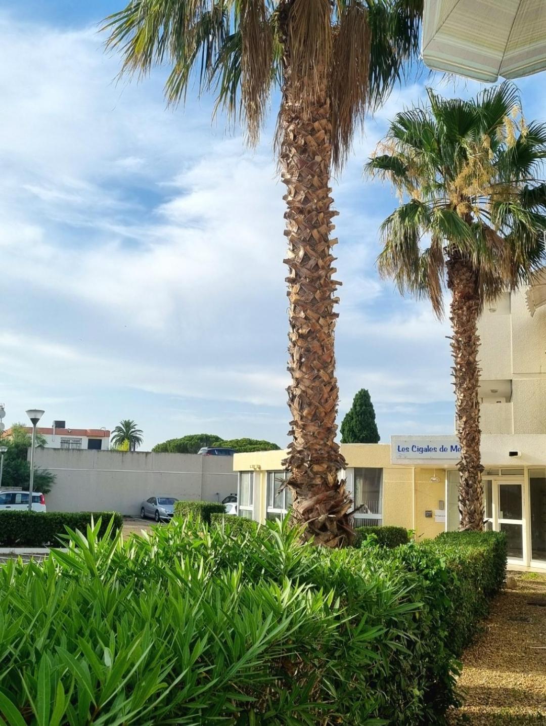 100 M De La Plage - Les Cigales De Mer - Studio Cabine - Parking Le Grau-du-Roi Exteriér fotografie
